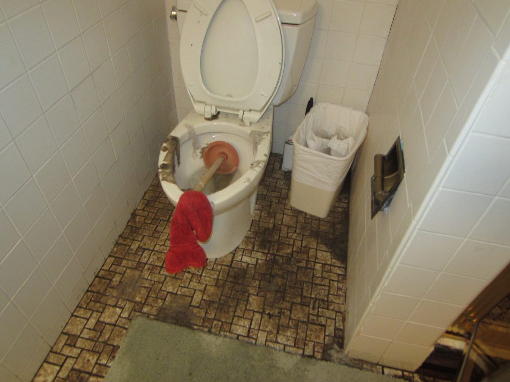 sewage damage backflow The Woodlands, TX